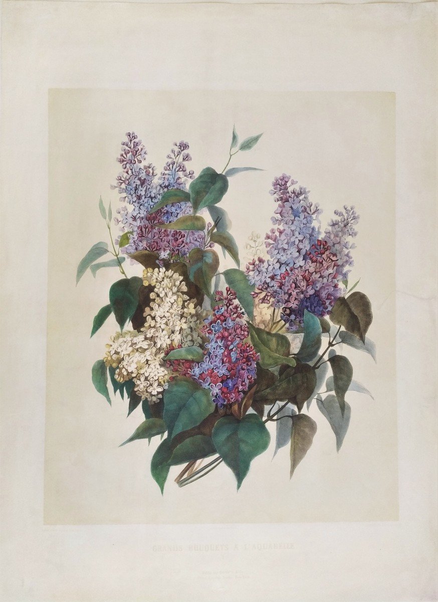 Watercolored Lithograph Flowers Bunch Of Lilacs After Pauline Girardin-photo-2