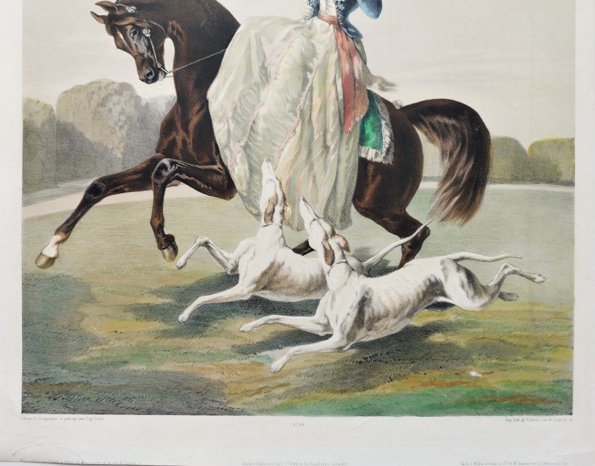 Horse Amazon And Two Greyhounds After Alfred De Dreux  19th C Lithography By Z.gingembre-photo-3