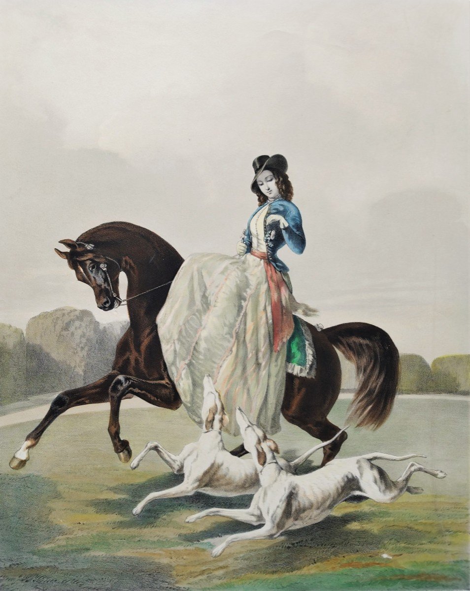 Horse Amazon And Two Greyhounds After Alfred De Dreux  19th C Lithography By Z.gingembre