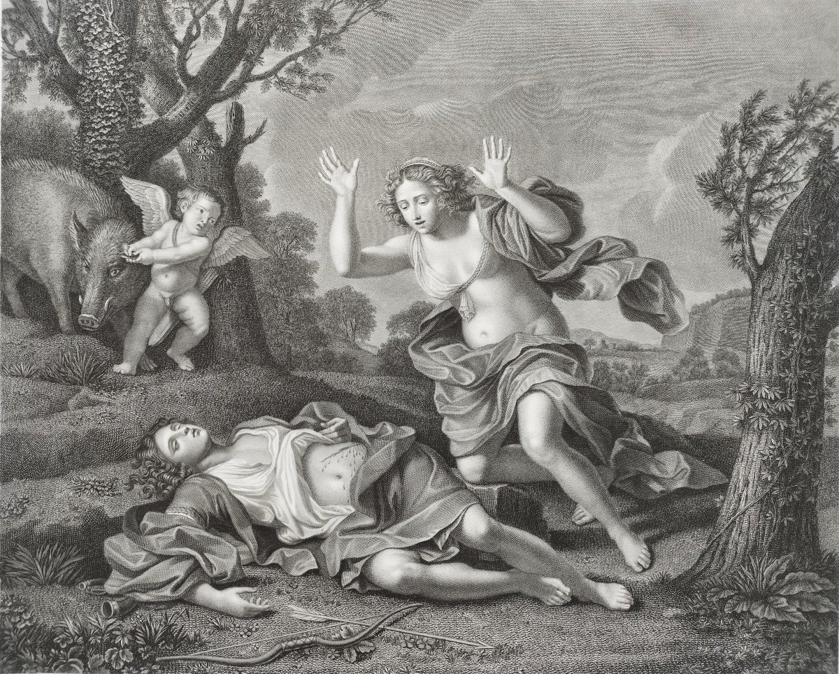 Mythologie Grecque Venus Et Adonis Gravure Par Pietro Bonato Veneto Bassanese d'Après Francesco Barbieri 