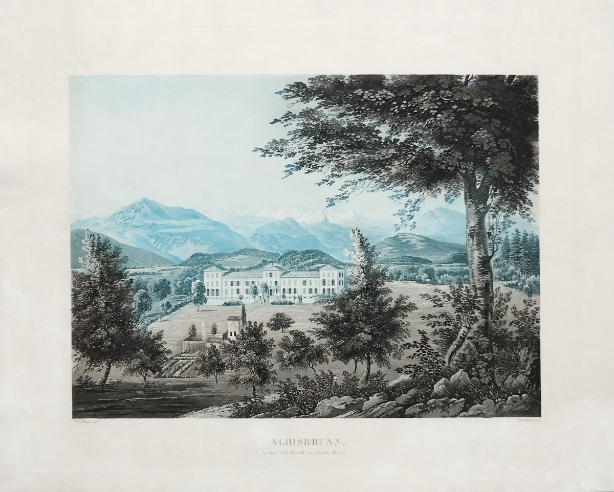 Etching Landscape Albisbrunn Canton  Zürich Switzerland  Mountain  Engraving 19th C Old Print-photo-3
