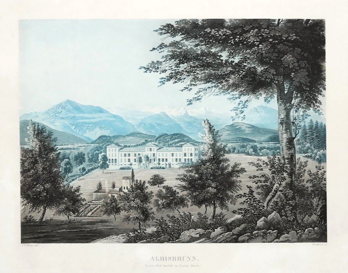 Etching Landscape Albisbrunn Canton  Zürich Switzerland  Mountain  Engraving 19th C Old Print