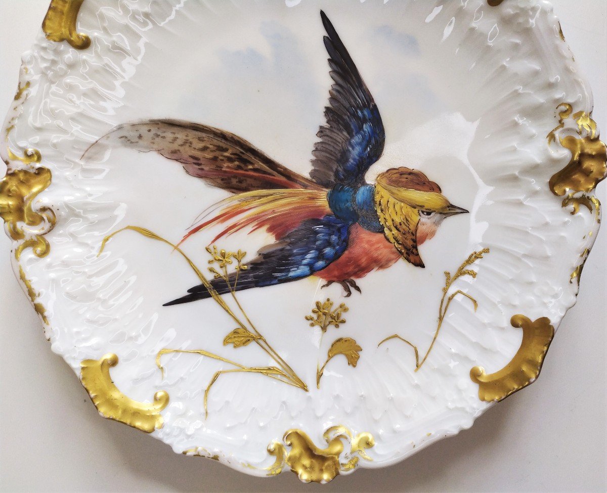 Limoges Porcelain Plate Bird Decor-photo-2