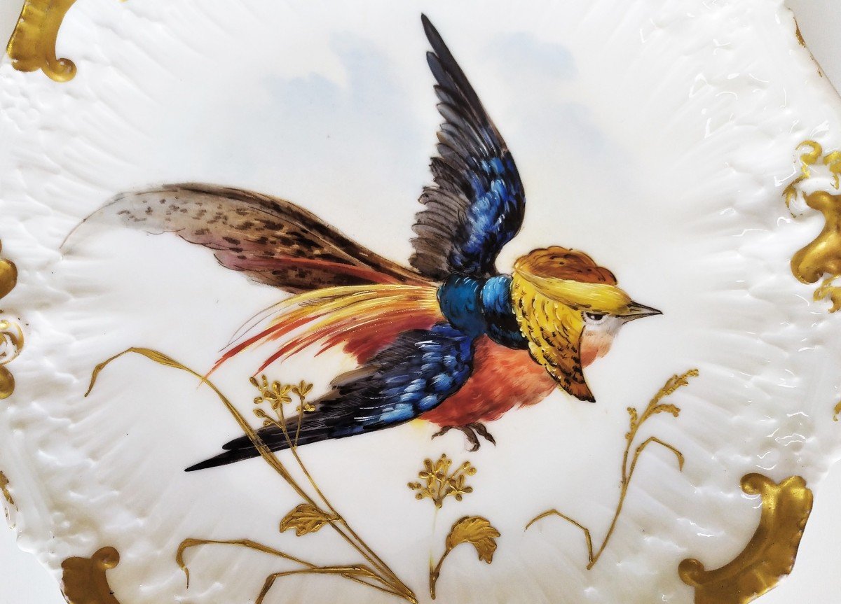 Limoges Porcelain Plate Bird Decor-photo-4