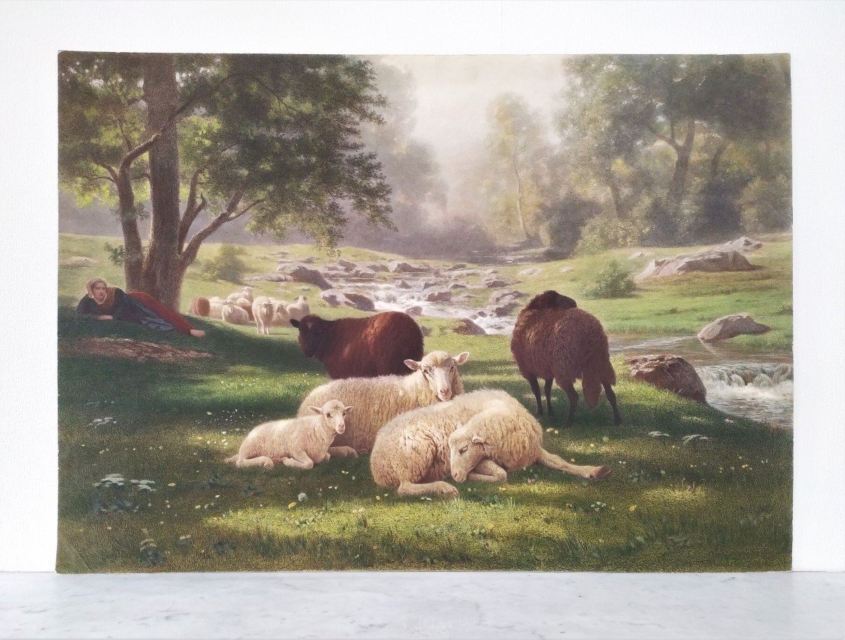 Paysage  Barbizon Les Moutons Gravure Aquarellée d'Après Auguste Bonheur-photo-4