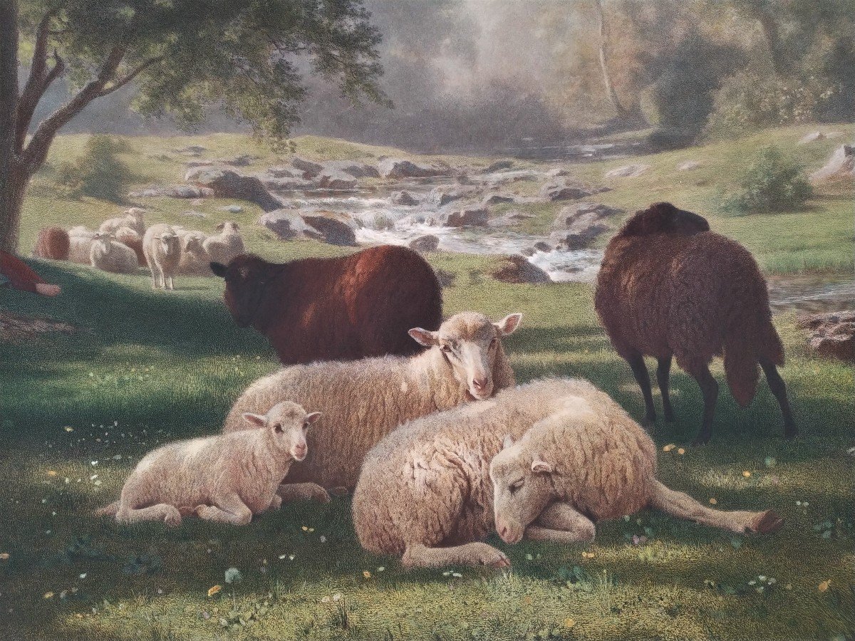Paysage  Barbizon Les Moutons Gravure Aquarellée d'Après Auguste Bonheur-photo-3