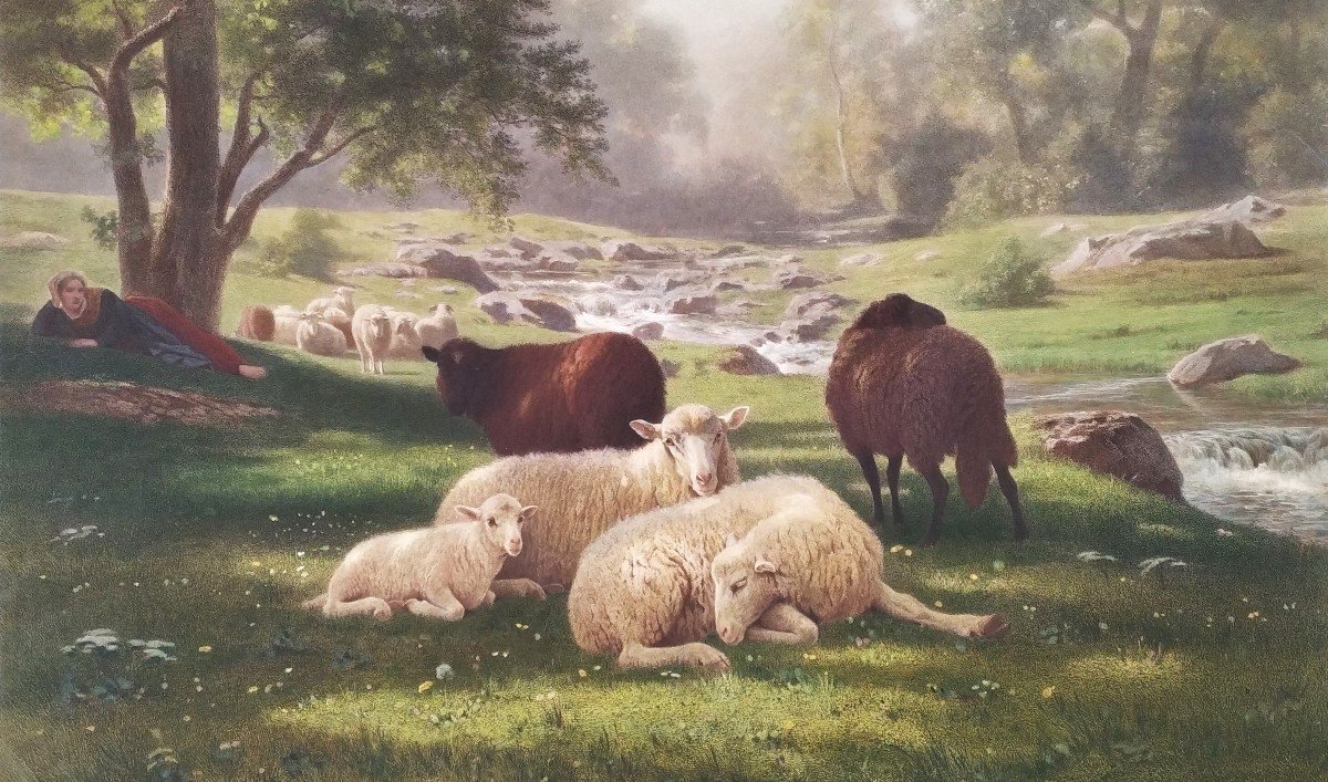 Paysage  Barbizon Les Moutons Gravure Aquarellée d'Après Auguste Bonheur-photo-6