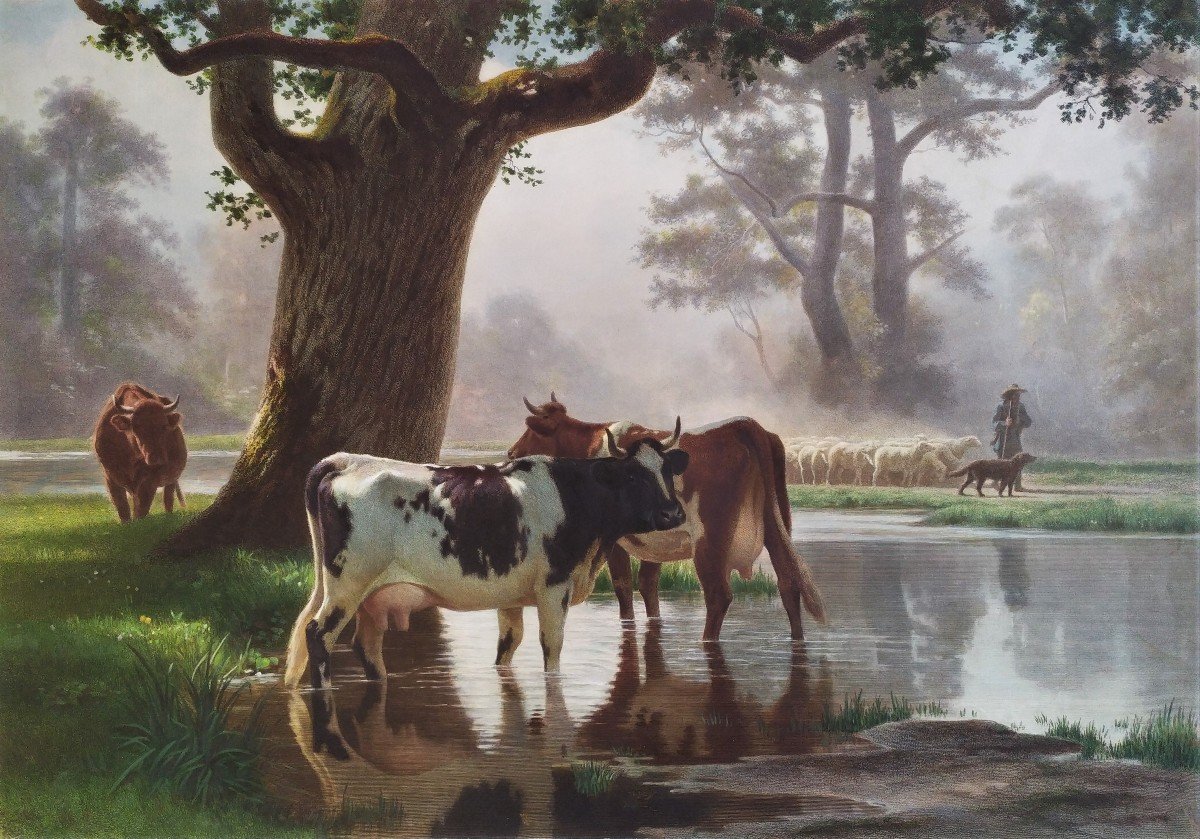 Barbizon Landscape The Cows Watercolor Engraving After Auguste Bonheur Etching Old Print