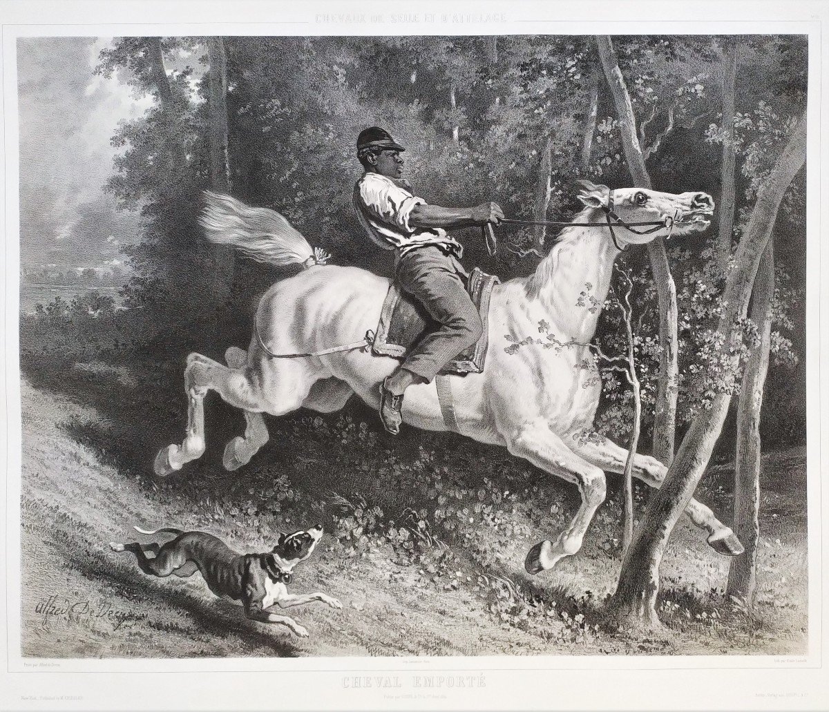 Horse Carried Away Lithograph After Alfred De Dreux 19th C Old Print-photo-3