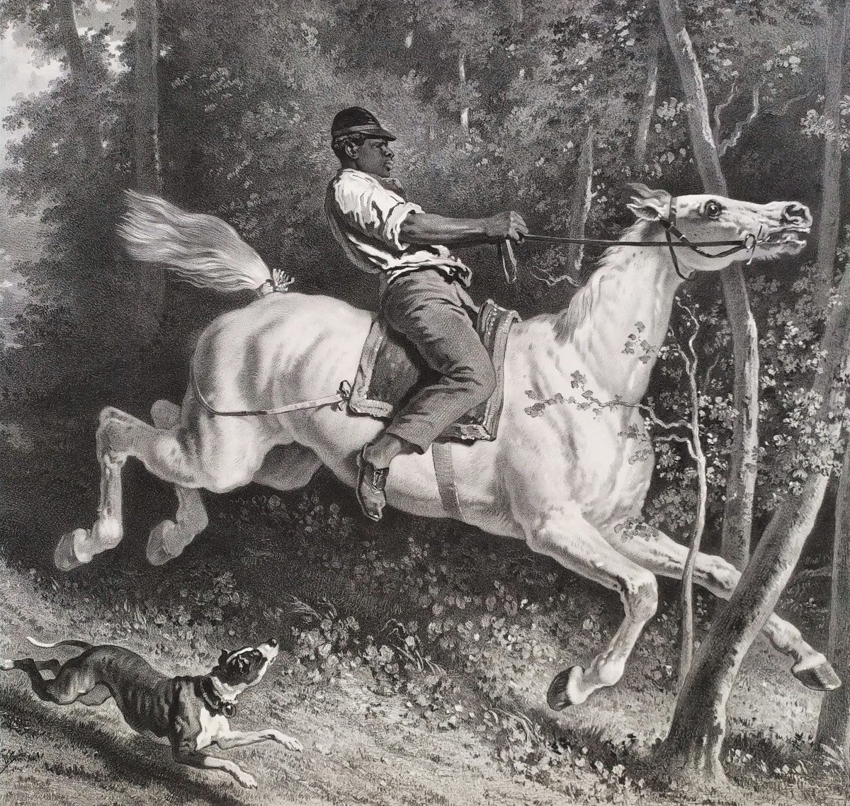 Horse Carried Away Lithograph After Alfred De Dreux 19th C Old Print-photo-3