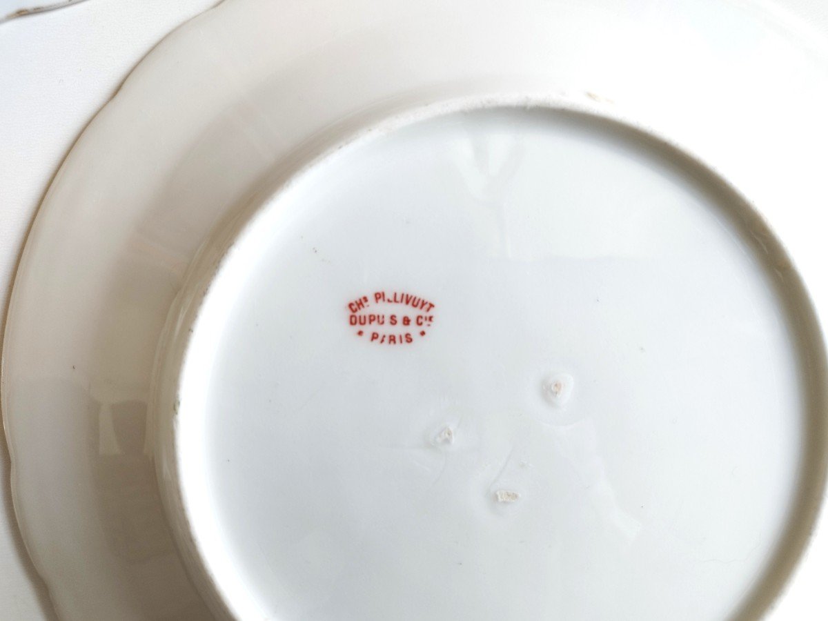 Hand Painted Porcelain Plates From Paris Pillivuyt 19th Century-photo-4