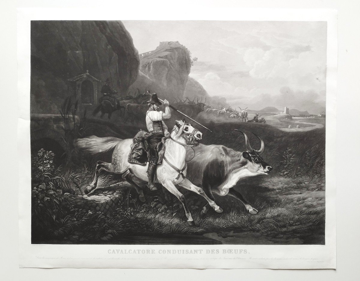 Gravure Cheval Animal d'Après Vernet 19ème-photo-2