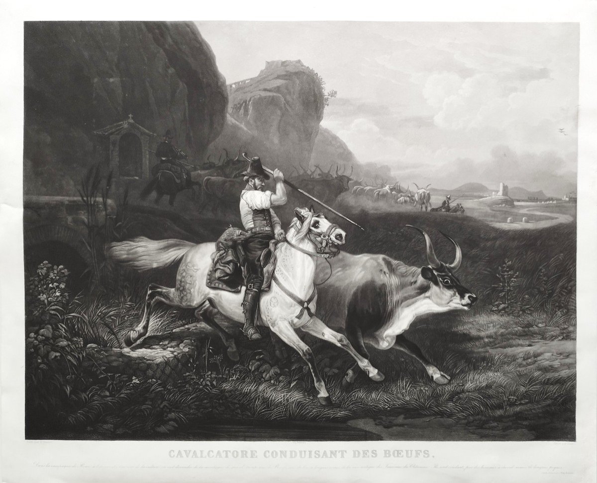 Gravure Cheval Animal d'Après Vernet 19ème-photo-3