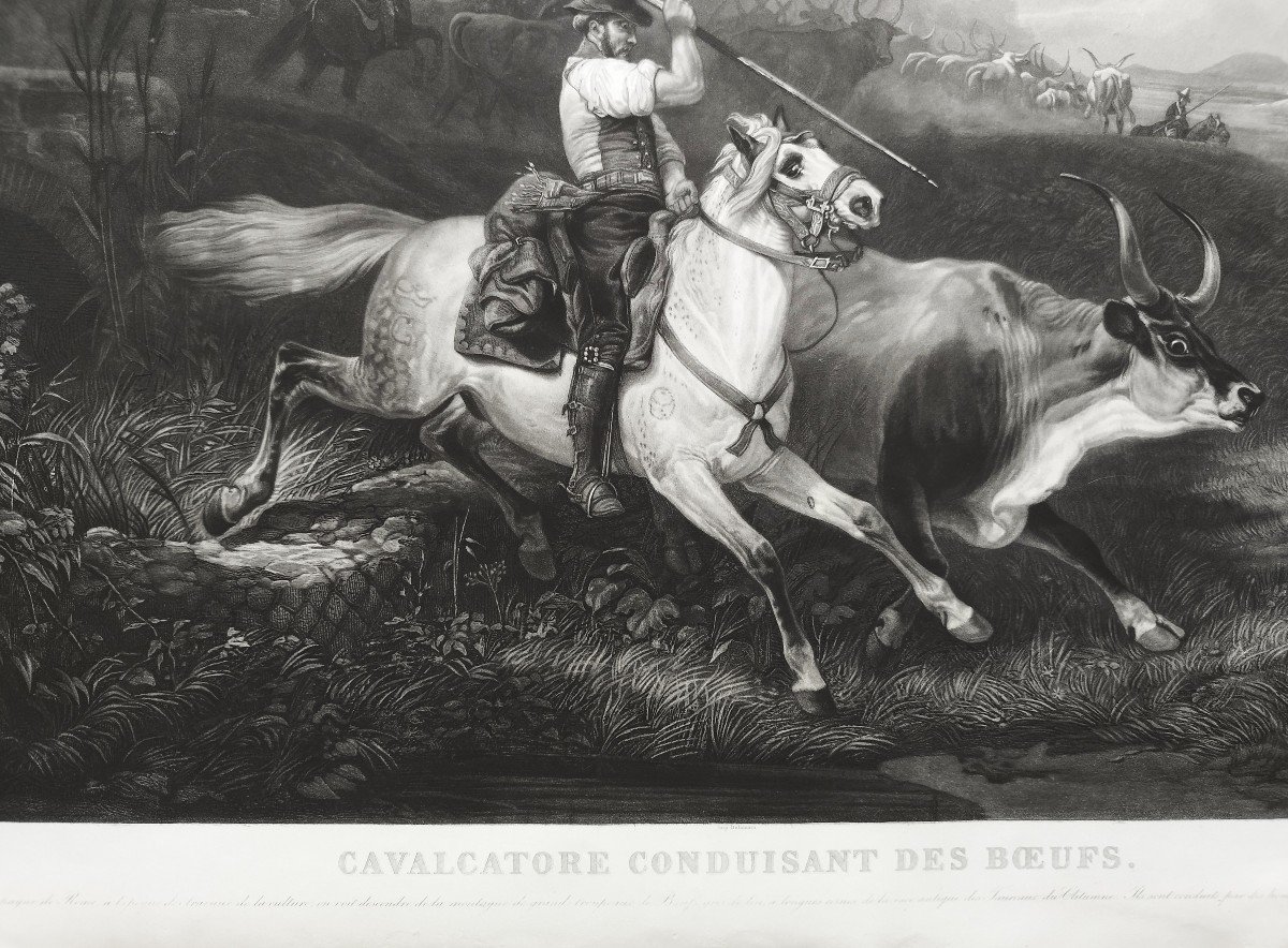 Gravure Cheval Animal d'Après Vernet 19ème-photo-1