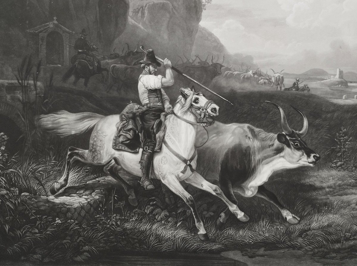 Gravure Cheval Animal d'Après Vernet 19ème-photo-2