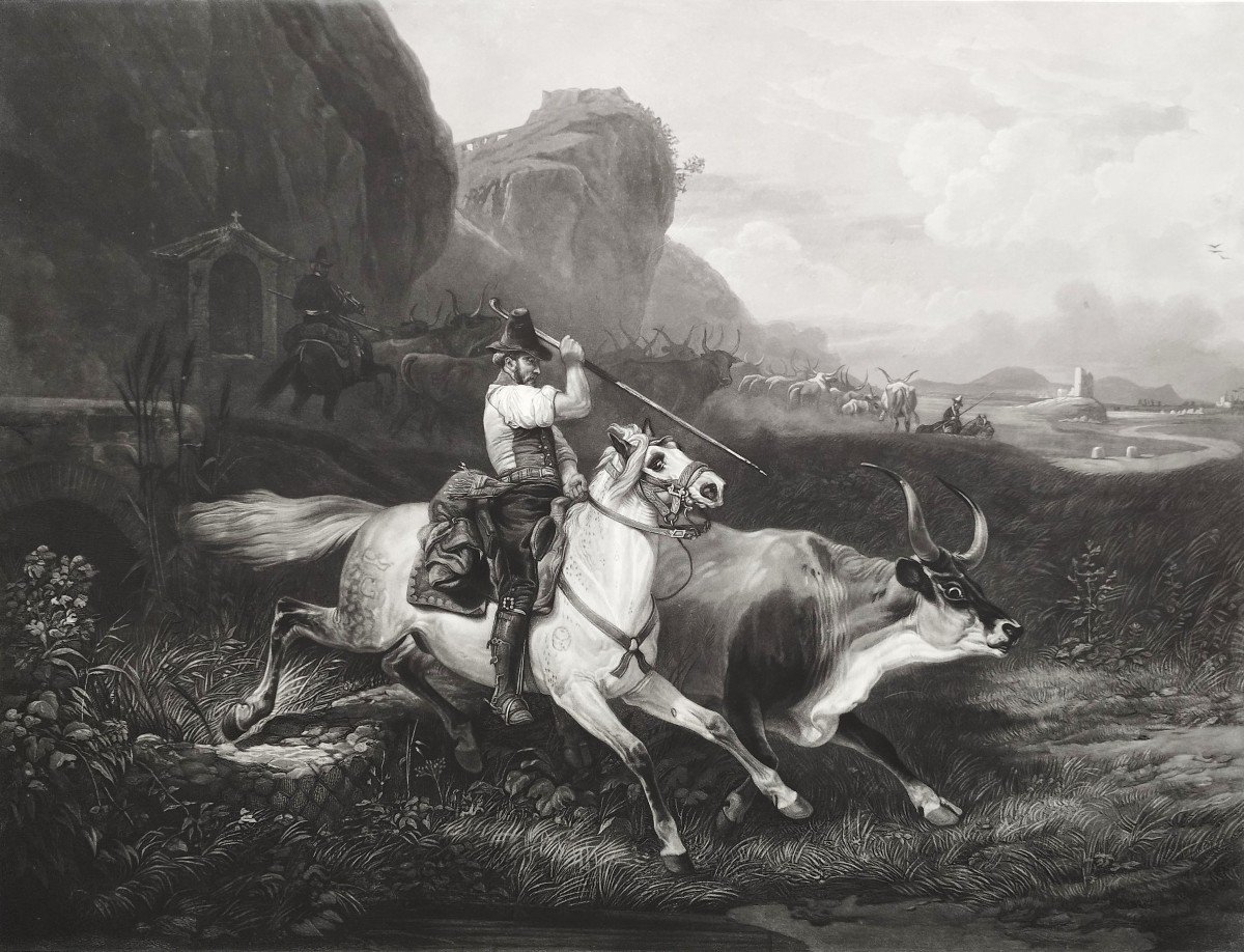 Gravure Cheval Animal d'Après Vernet 19ème