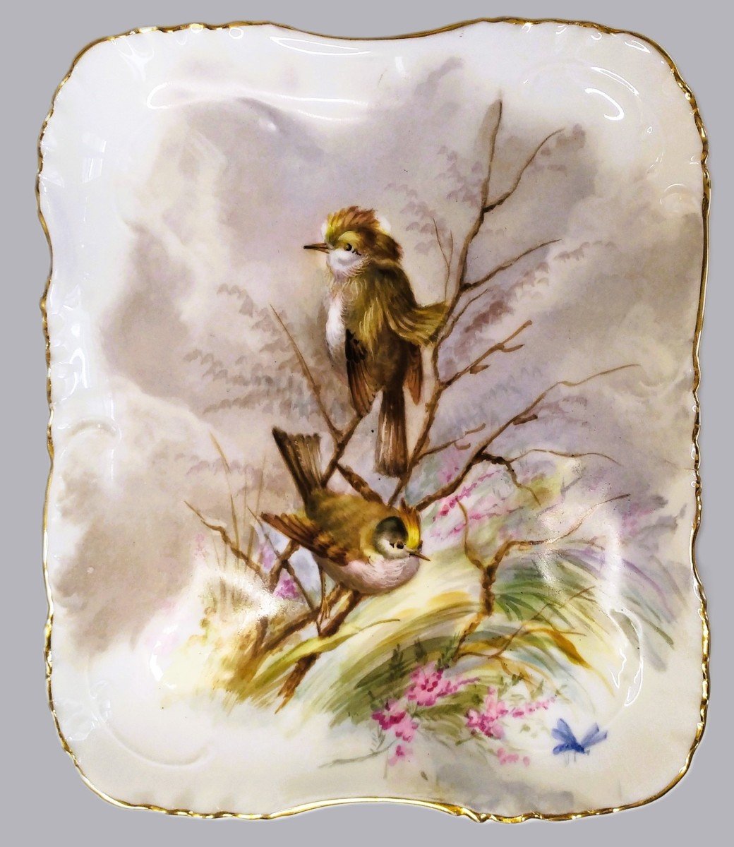  Limoges Haviland Assiette En Porcelaine Peinte à La Main  Décor d'Oiseaux  1891-photo-2