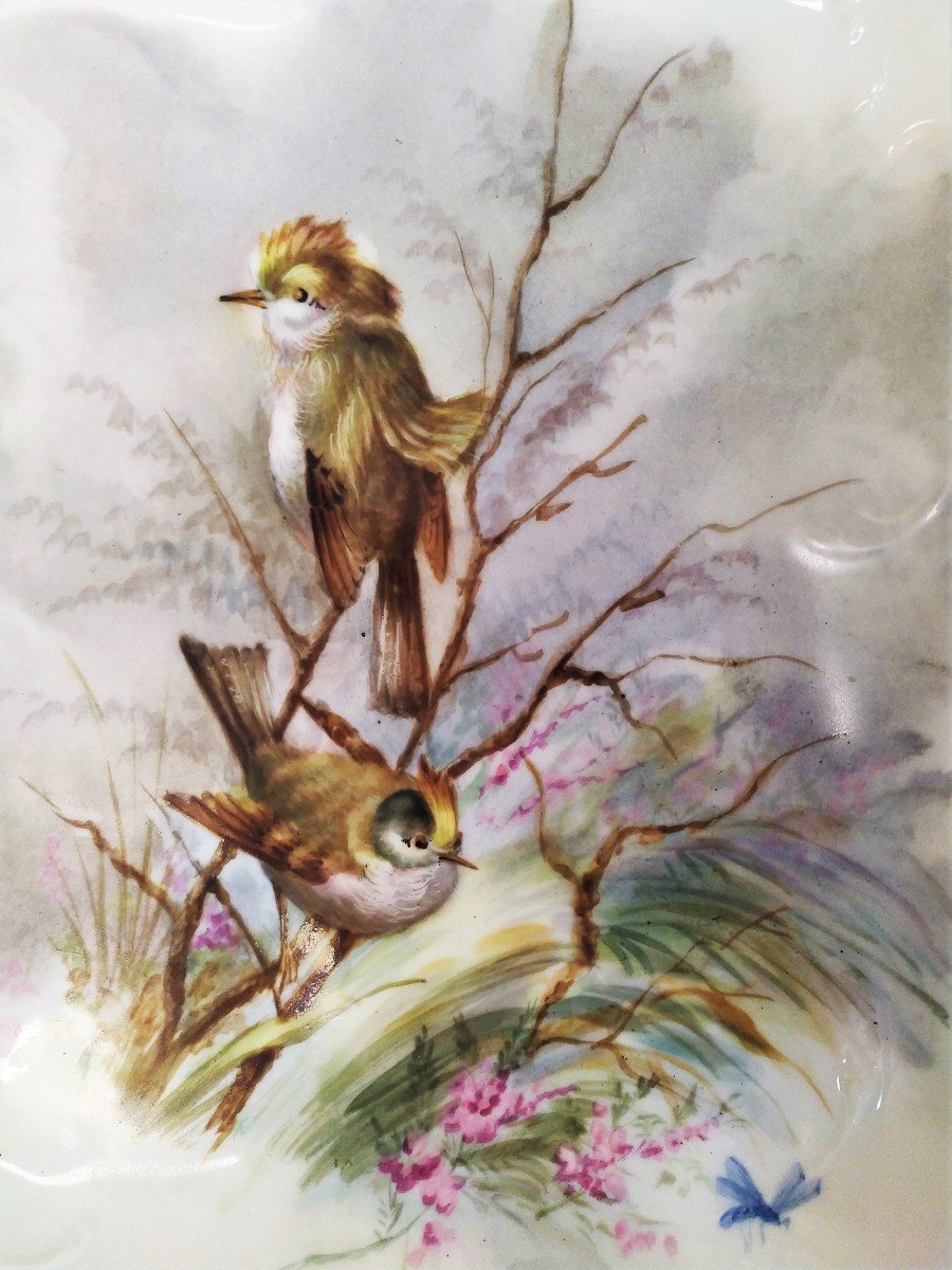  Limoges Haviland Assiette En Porcelaine Peinte à La Main  Décor d'Oiseaux  1891-photo-4