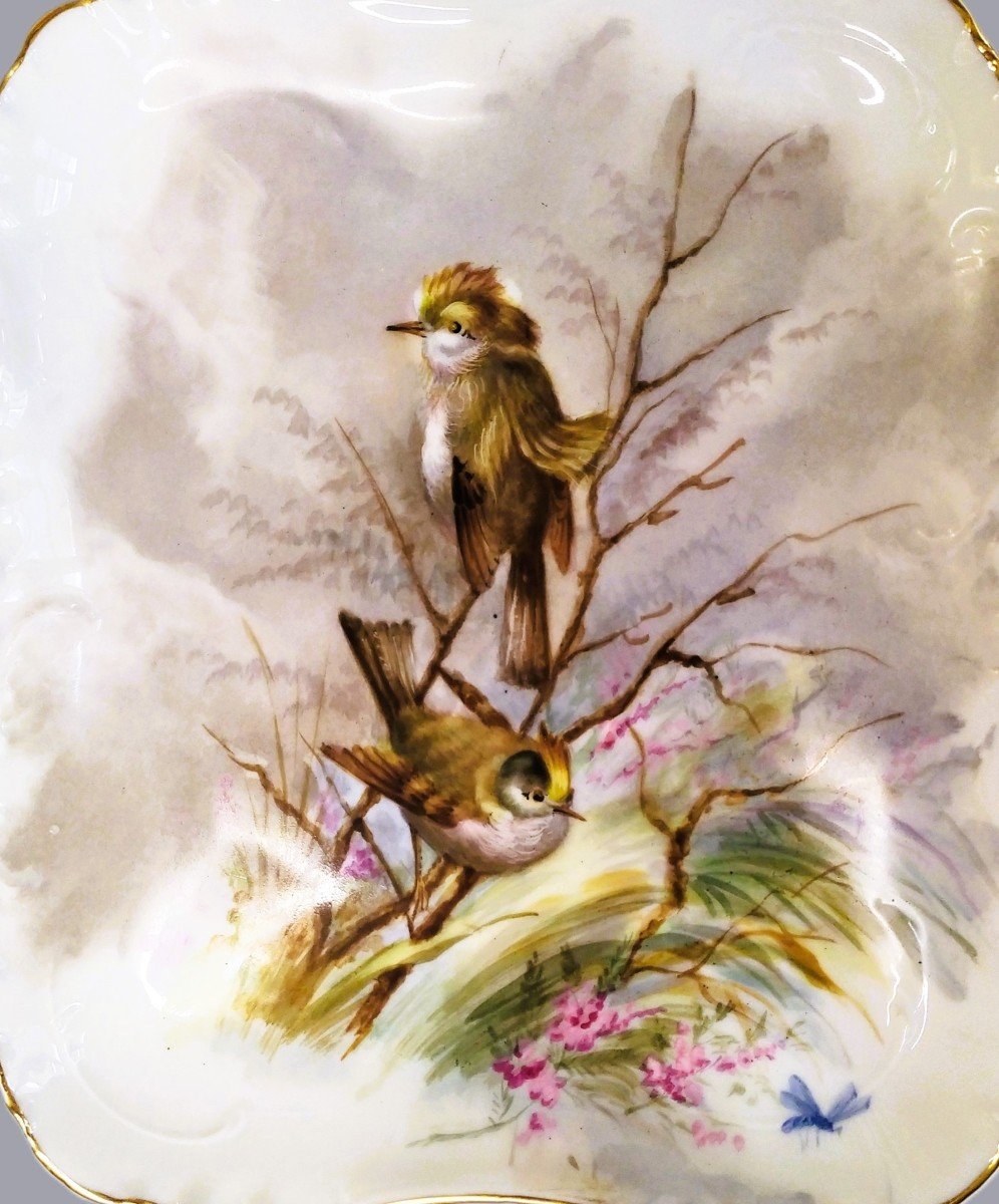  Limoges Haviland Assiette En Porcelaine Peinte à La Main  Décor d'Oiseaux  1891-photo-5