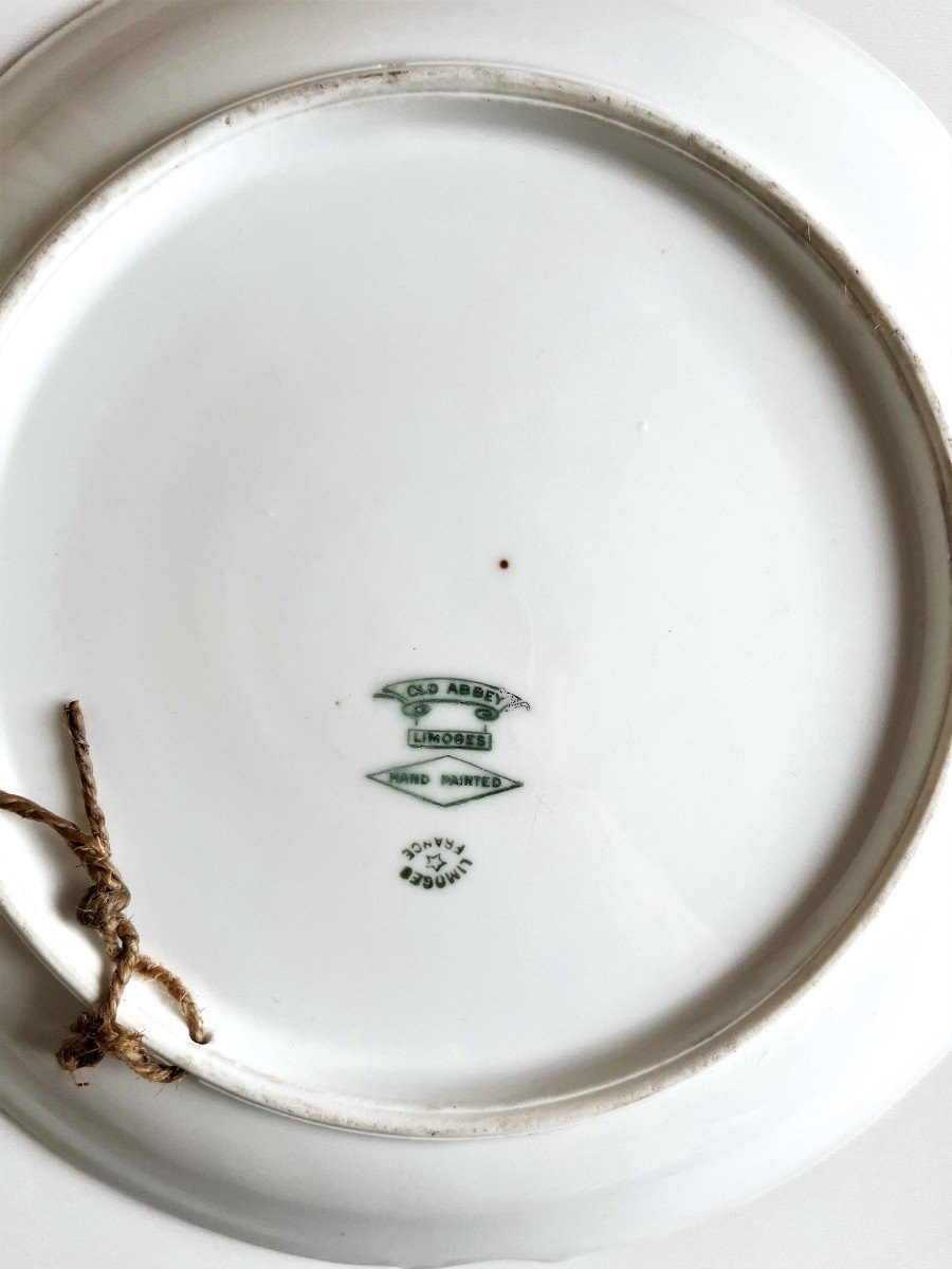 Pair Of Hand Painted Porcelain Plates Decorated With Roses -photo-1