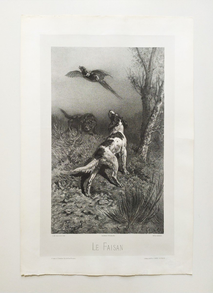 Hunting Dogs And Pheasant 19th Century Lithograph Old Print-photo-2