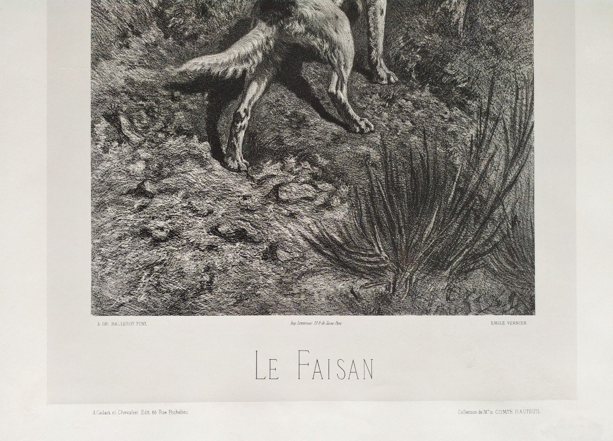 Hunting Dogs And Pheasant 19th Century Lithograph Old Print-photo-1