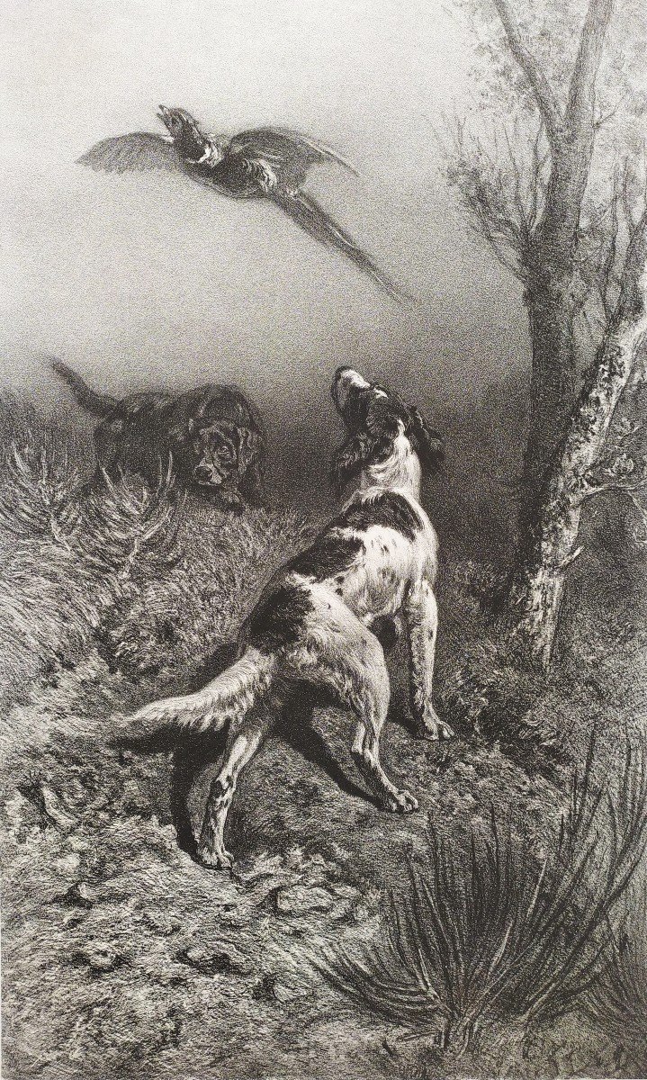 Hunting Dogs And Pheasant 19th Century Lithograph Old Print-photo-2
