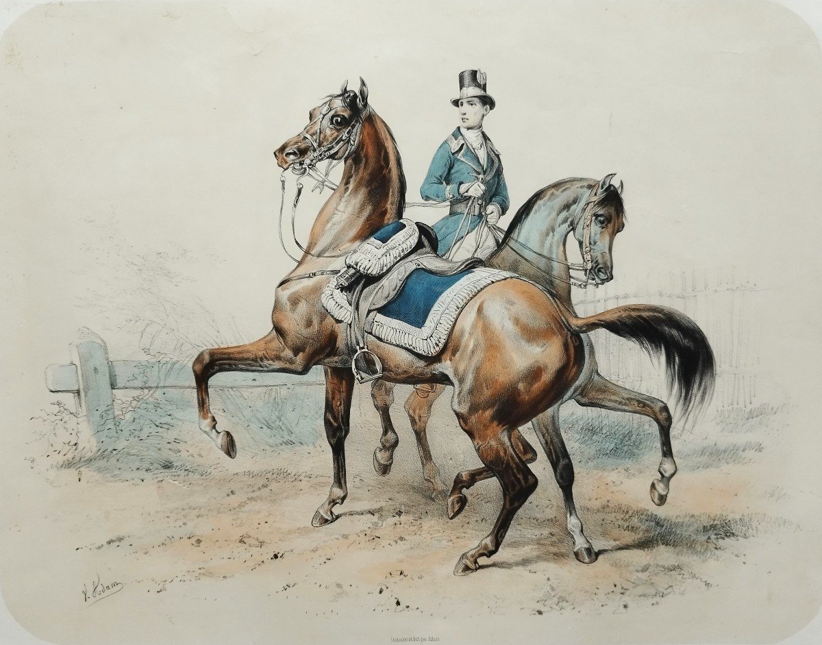 Chevaux Lithographie Par Adam 19ème-photo-4