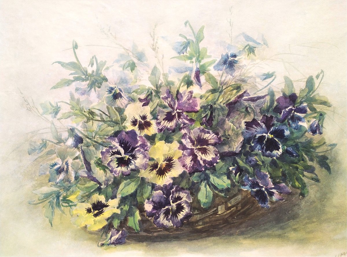 Watercolor Pansies Flowers By Eugène Marguerit Calmant 19th C-photo-2