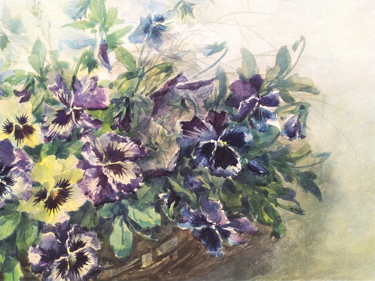 Watercolor Pansies Flowers By Eugène Marguerit Calmant 19th C-photo-3