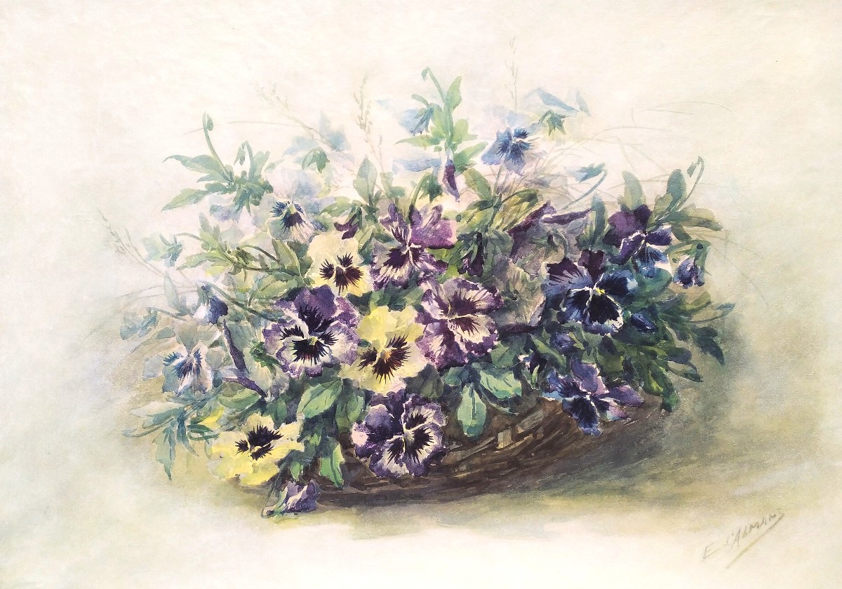 Watercolor Pansies Flowers By Eugène Marguerit Calmant 19th C