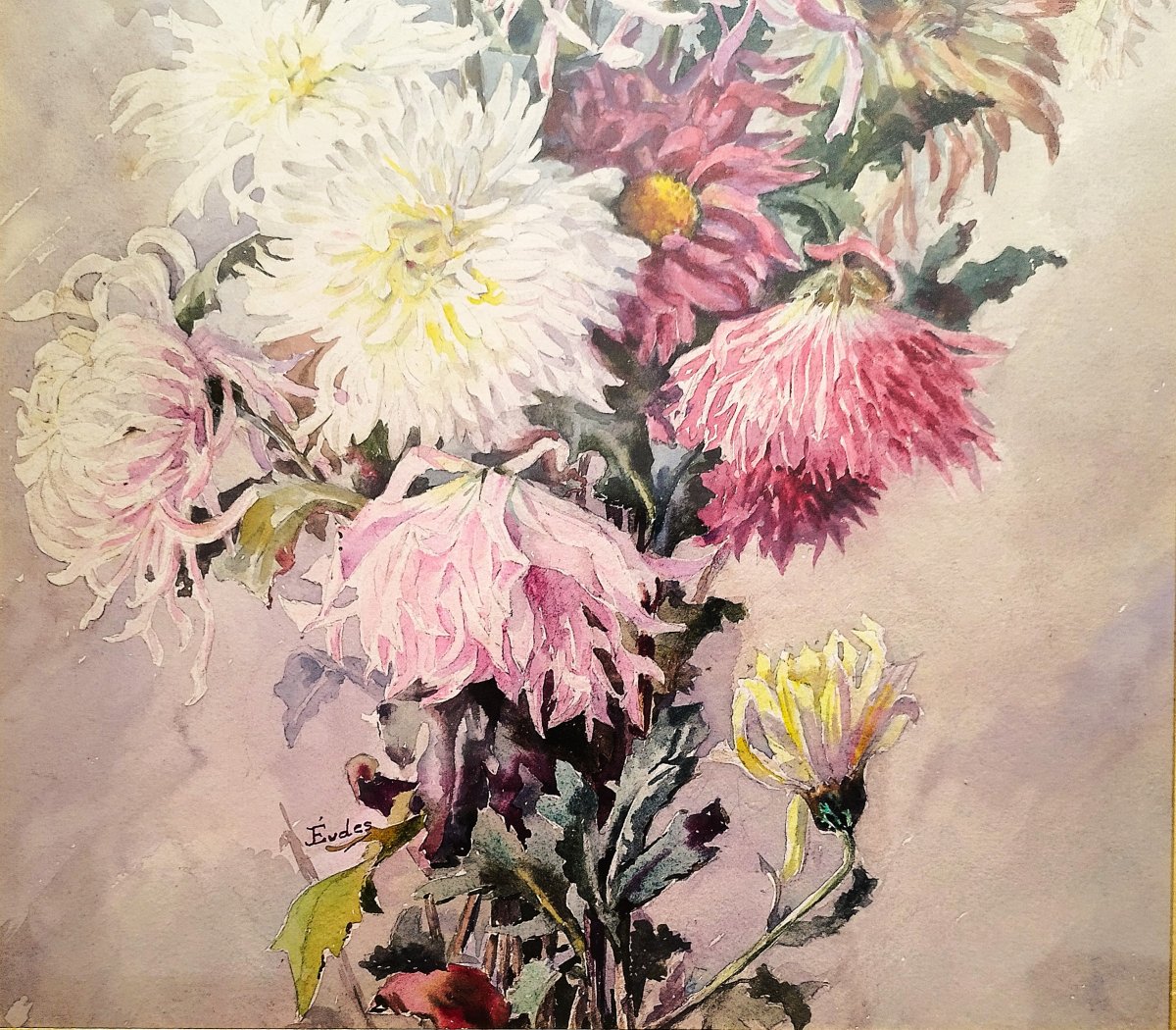Chrysanthèmes Aquarelle par Eugène-Jules Eudes  20ème-photo-4