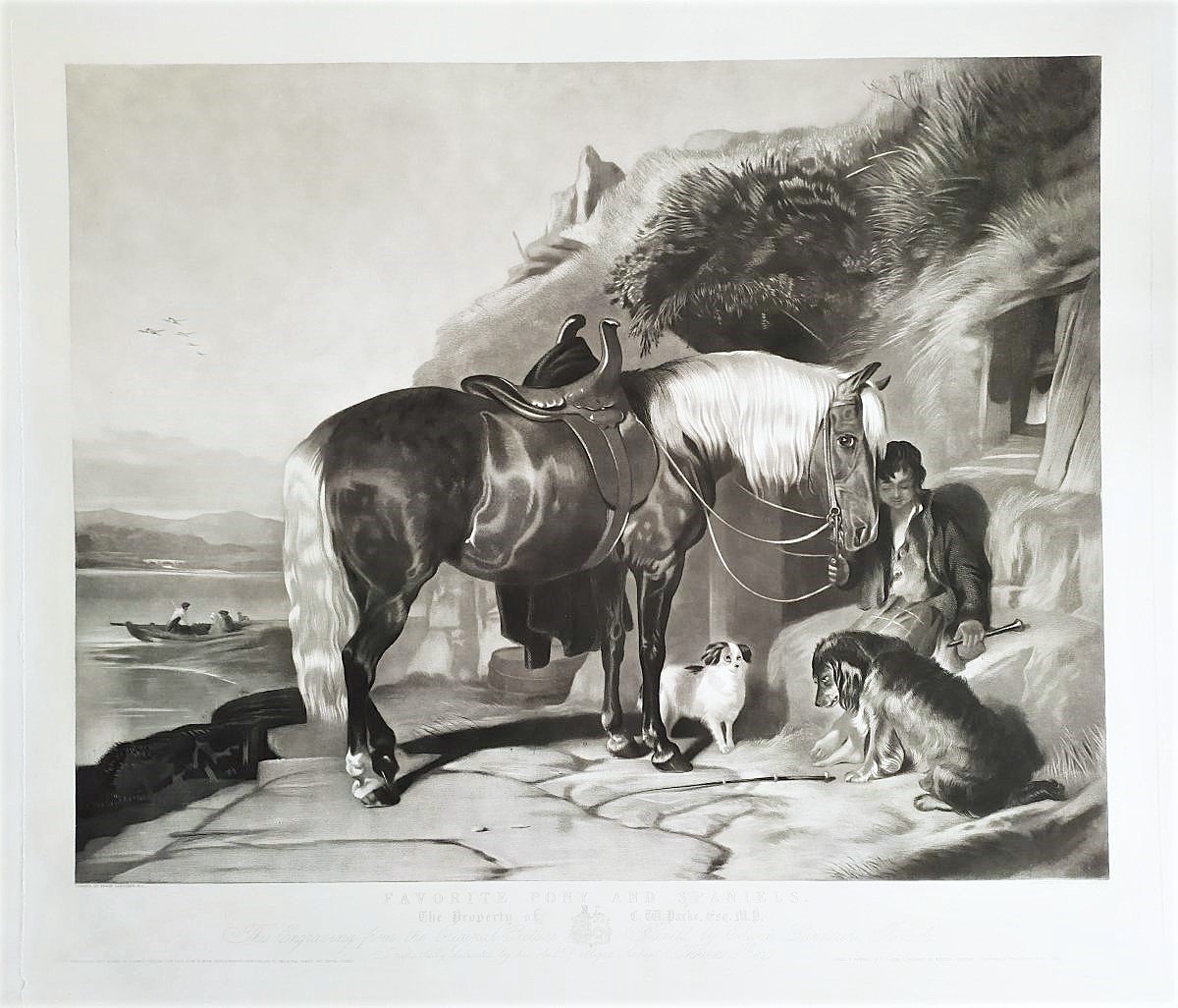 Gravure Par Thomas Et Edwin  Landseer Pony And Spaniels 19ème-photo-2