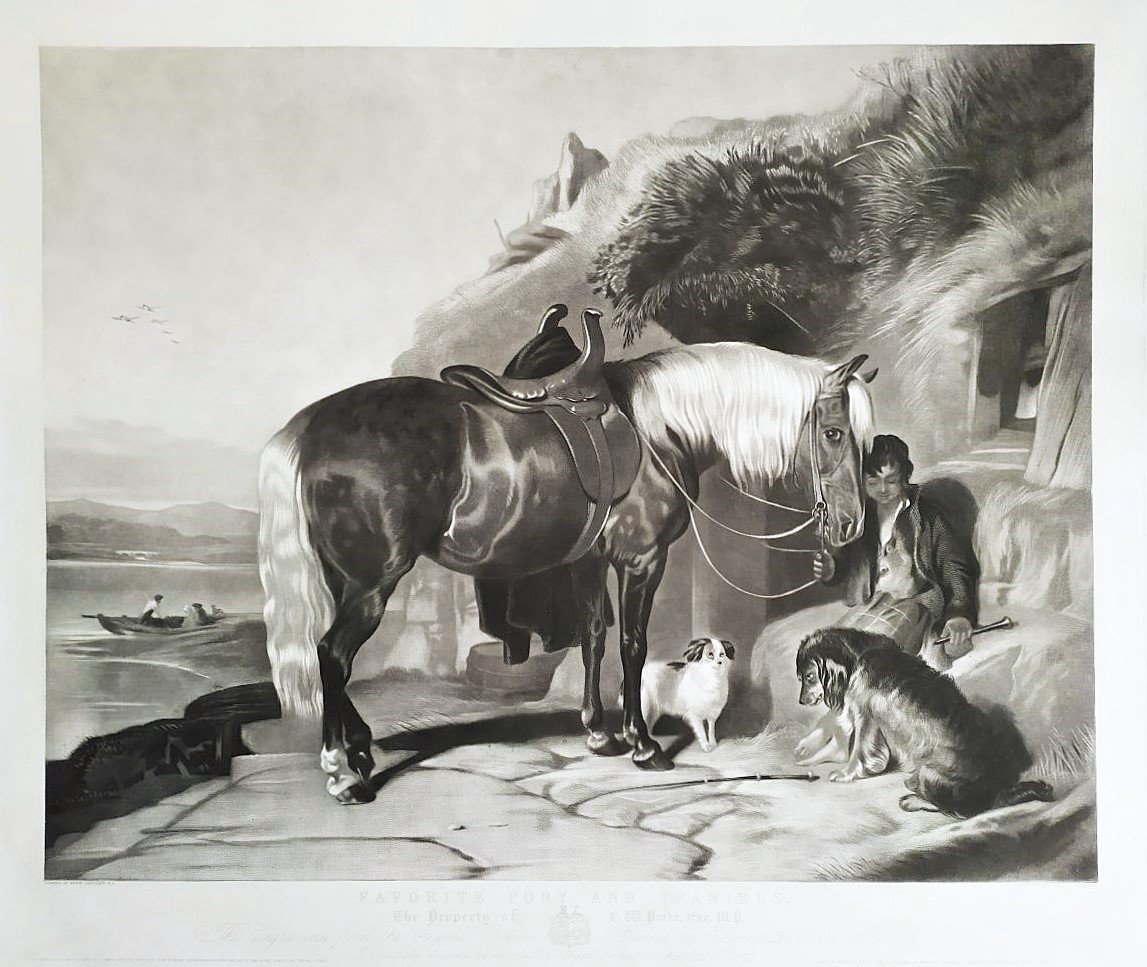 Gravure Par Thomas Et Edwin  Landseer Pony And Spaniels 19ème-photo-3