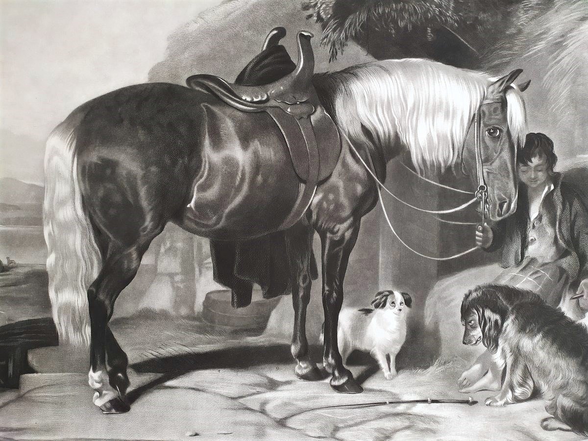 Gravure Par Thomas Et Edwin  Landseer Pony And Spaniels 19ème-photo-3