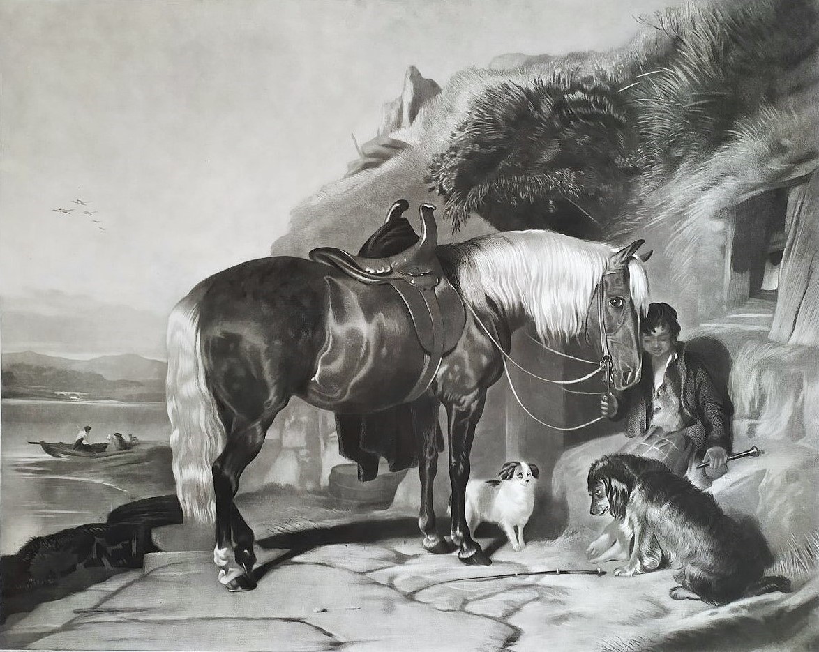 Gravure Par Thomas Et Edwin  Landseer Pony And Spaniels 19ème-photo-1