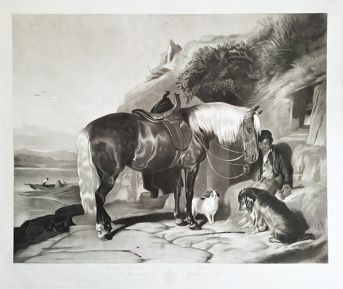 Gravure Par Thomas Et Edwin  Landseer Pony And Spaniels 19ème