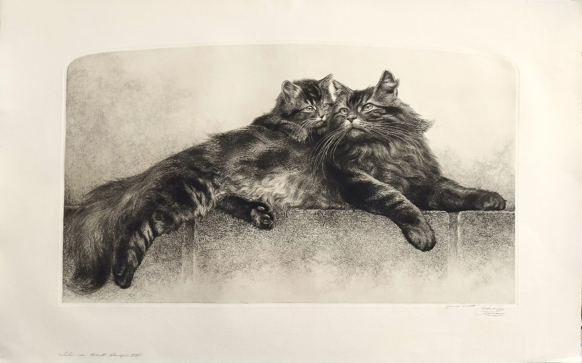 Chatte et son chaton gravure  par Charles Jean Renaud 20ème-photo-2