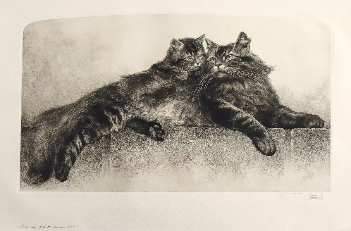 Chatte et son chaton gravure  par Charles Jean Renaud 20ème-photo-3