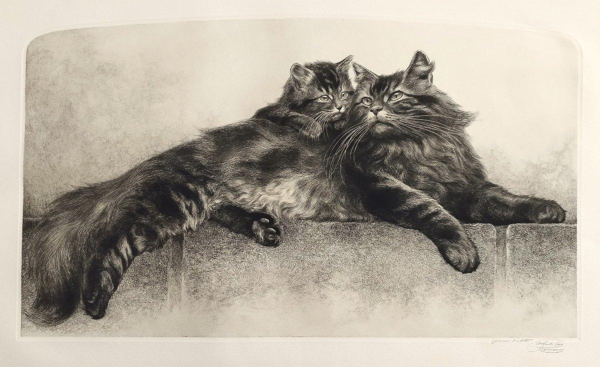 Chatte et son chaton gravure  par Charles Jean Renaud 20ème-photo-4