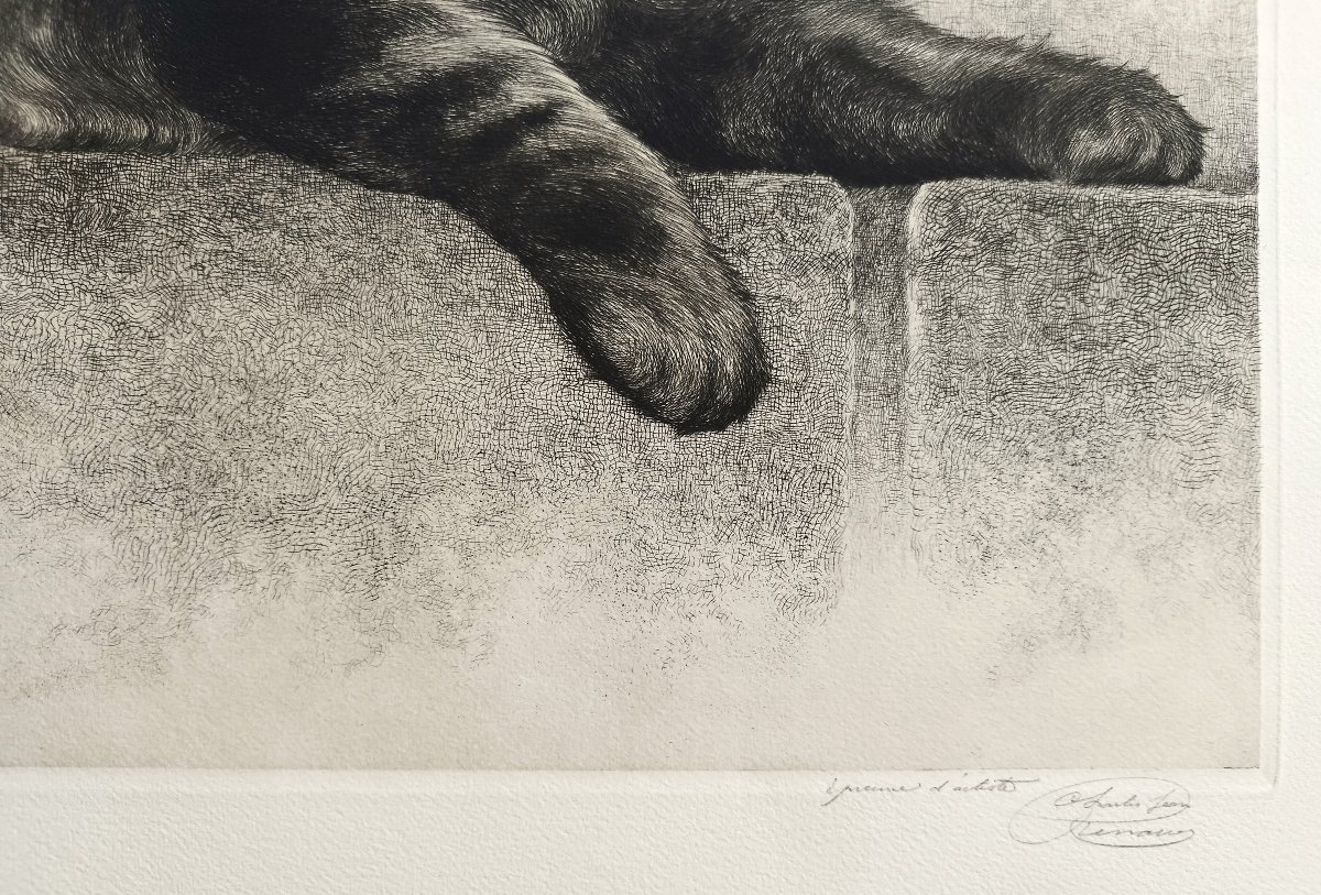 Chatte et son chaton gravure  par Charles Jean Renaud 20ème-photo-1