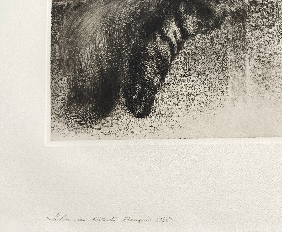 Chatte et son chaton gravure  par Charles Jean Renaud 20ème-photo-2