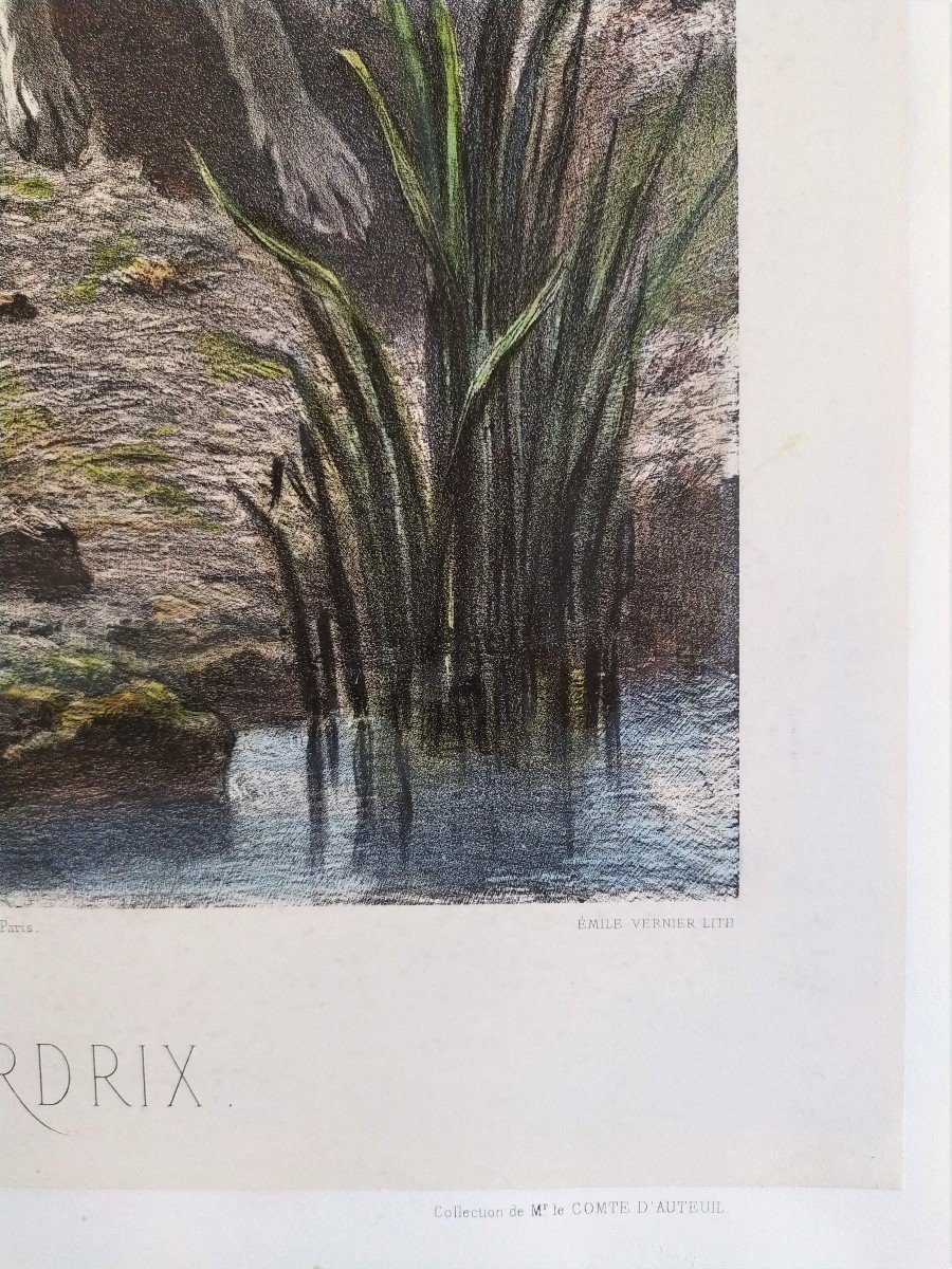 Chien de chasse lithographie originale 19ème -photo-1