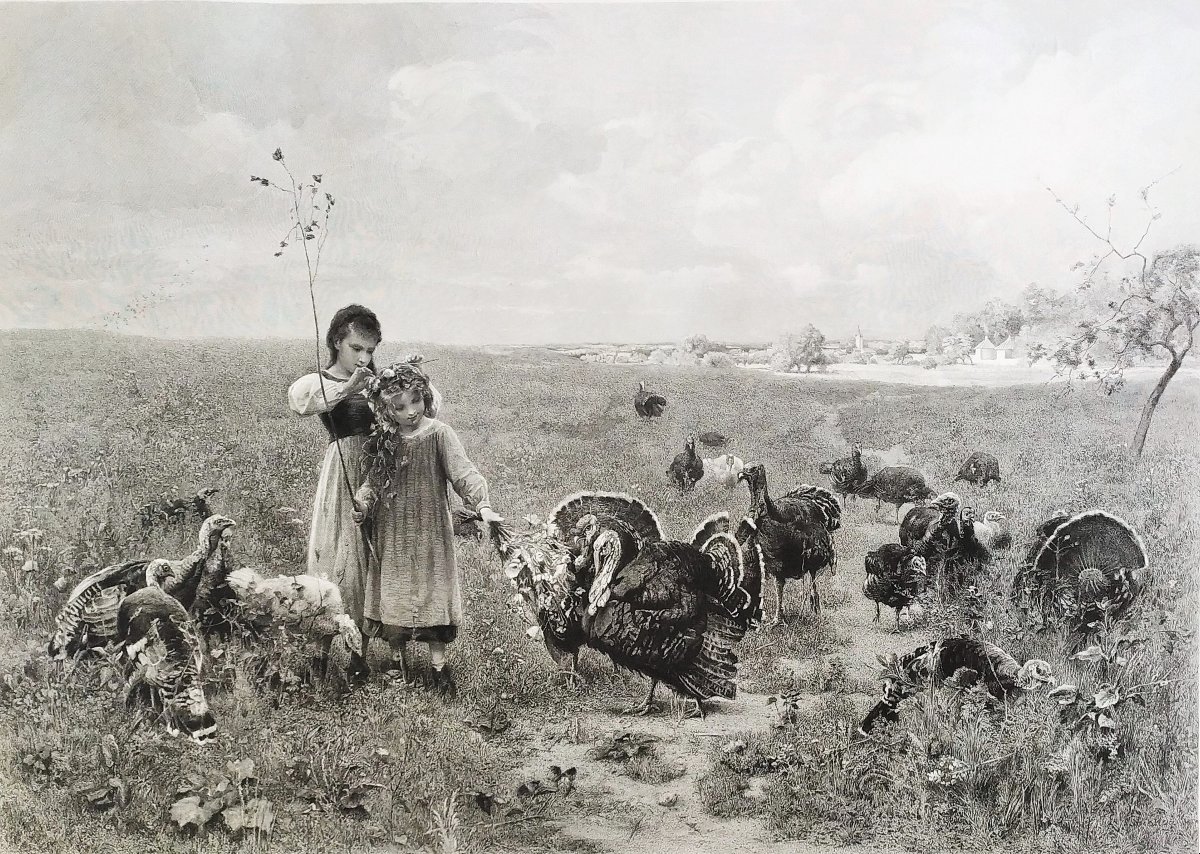 Grande Gravure 19ème  Fillettes et Dindons -photo-4