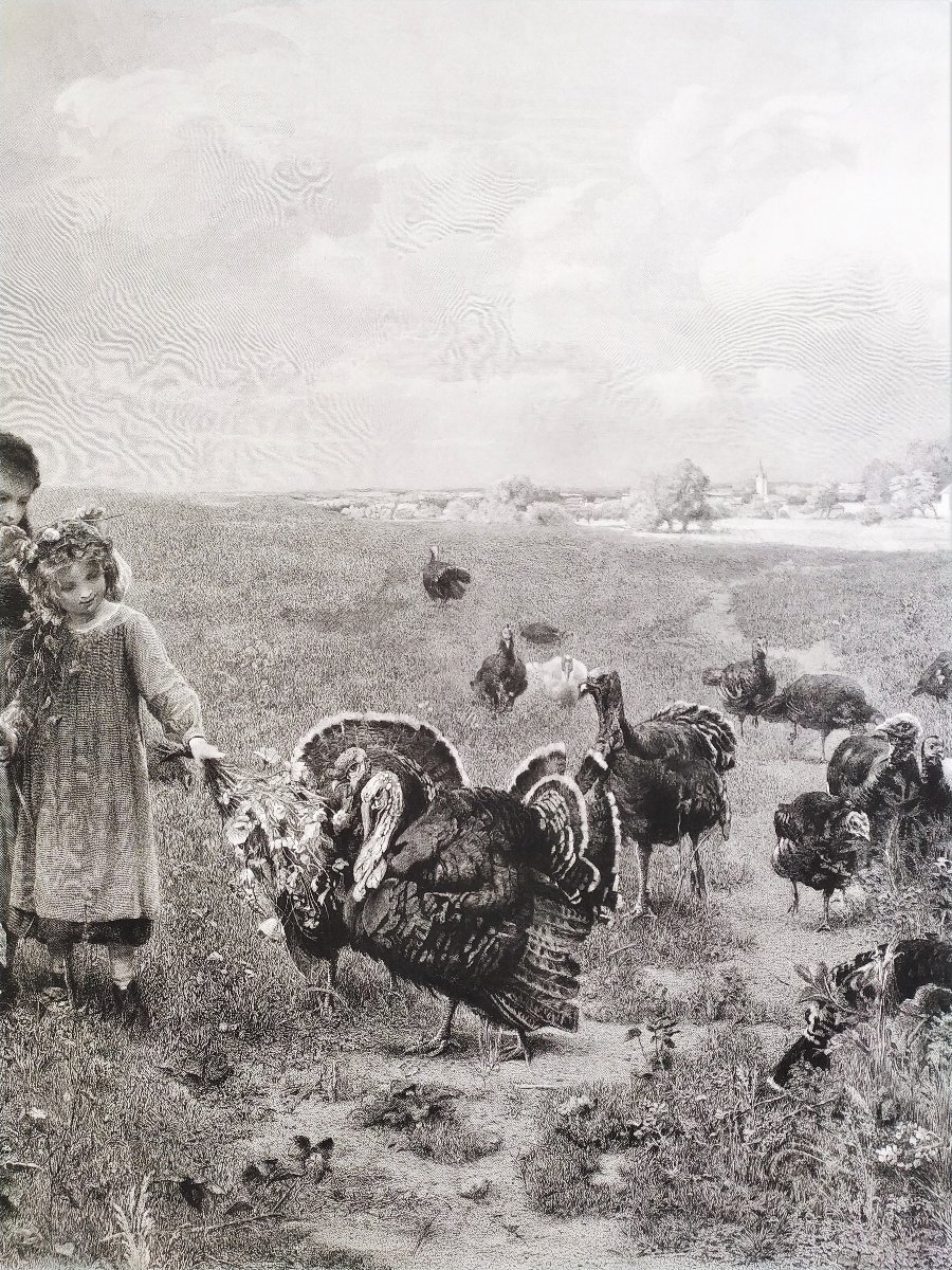 Grande Gravure 19ème  Fillettes et Dindons -photo-3