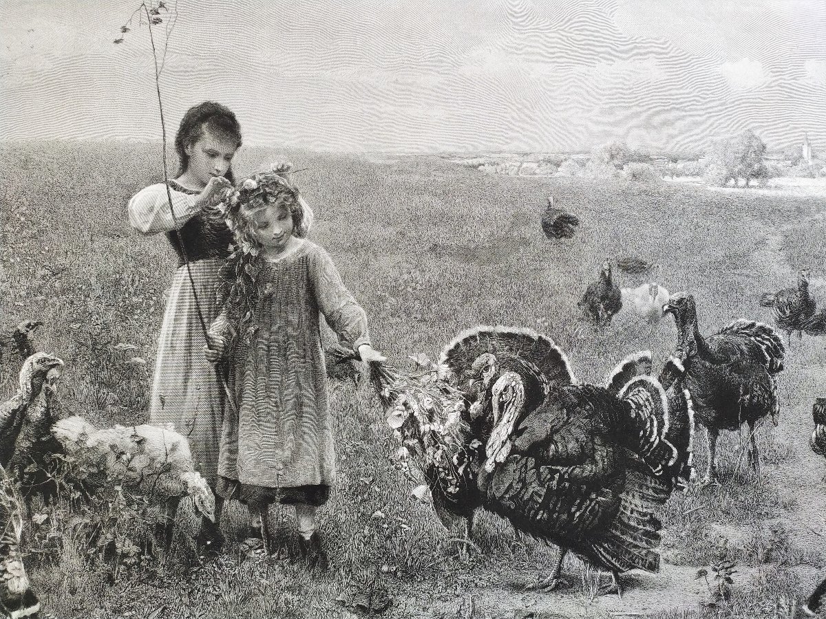 Grande Gravure 19ème  Fillettes et Dindons -photo-5