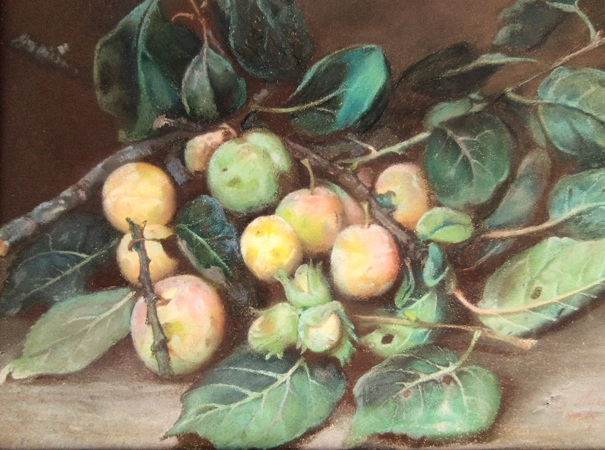 Marie Octavie Paigné Nature morte aux prunes pastel  19ème Ecole de Metz-photo-4