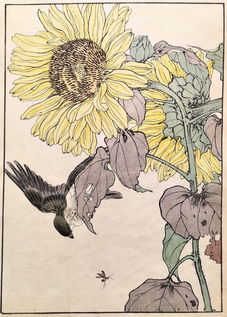 Estampe Japonaise Bois gravé Le Tournesol Et l'Oiseau