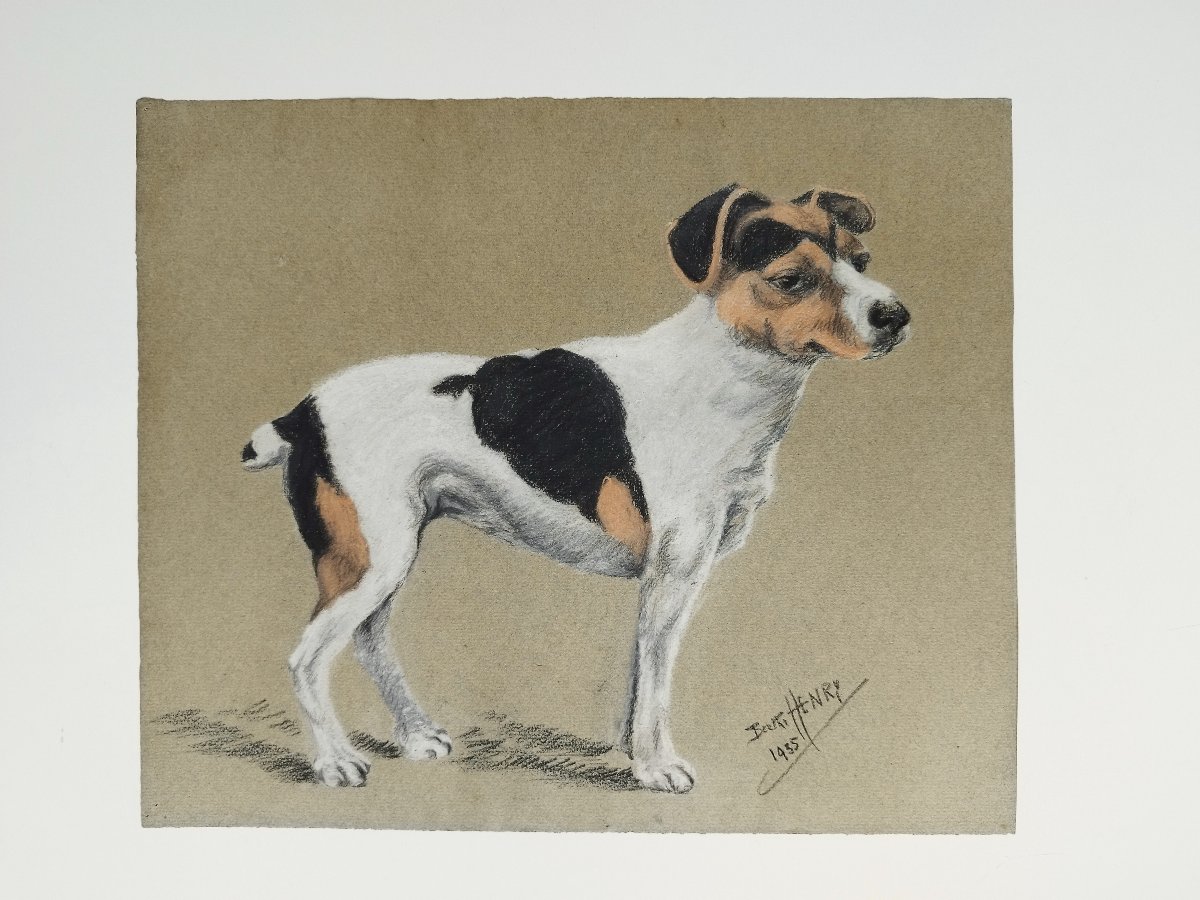 Jack Russell Terrier chien Pastel par Berthe Henry 20ème-photo-2