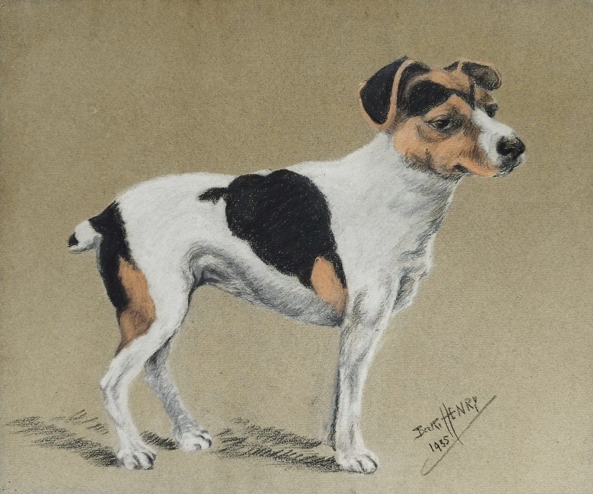 Jack Russell Terrier chien Pastel par Berthe Henry 20ème-photo-3